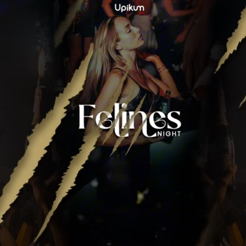 FELINES NIGHT VIERNES SANTO