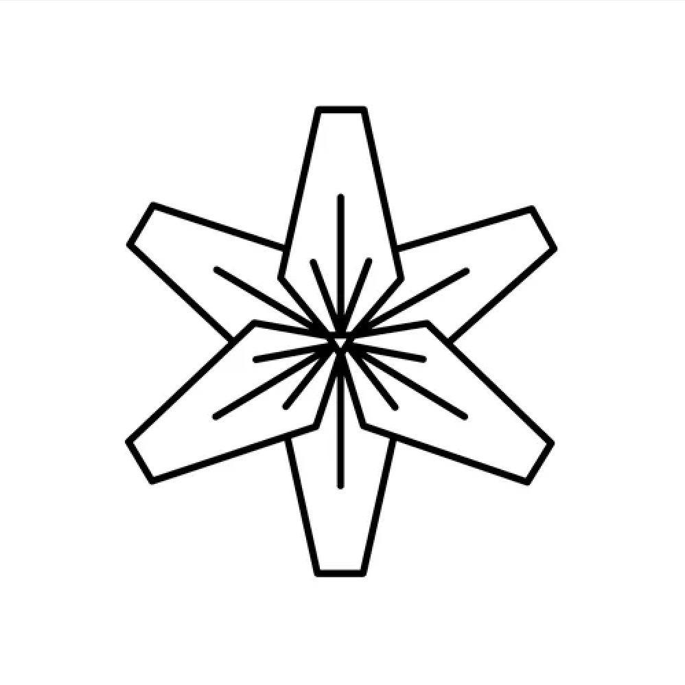 Lilly's Payment Link