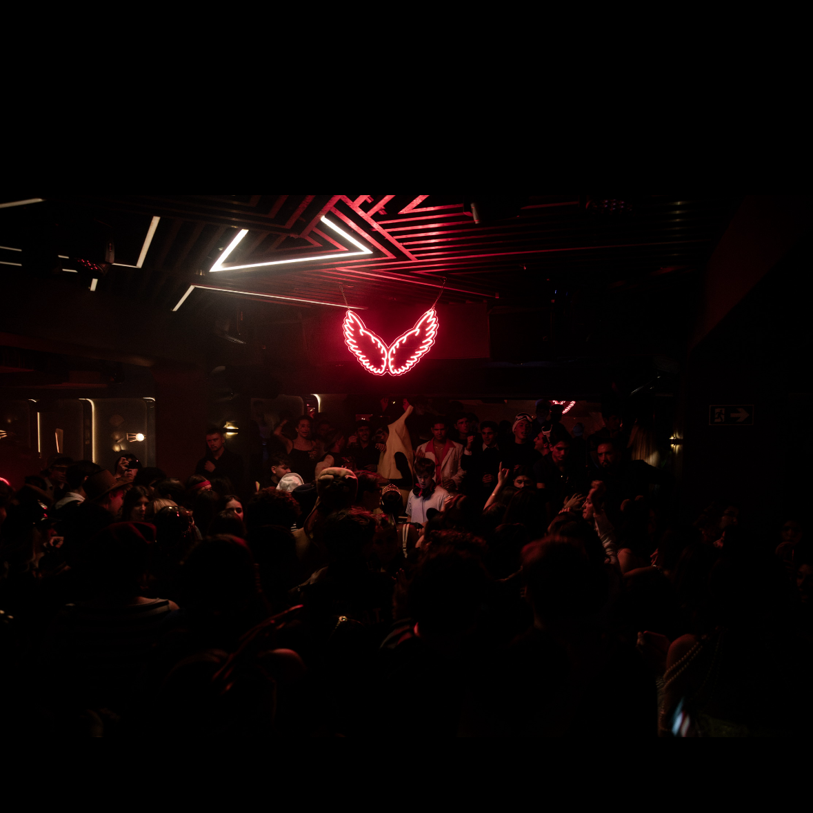 Love not Lost. PANDEMONIUM x D.O.T