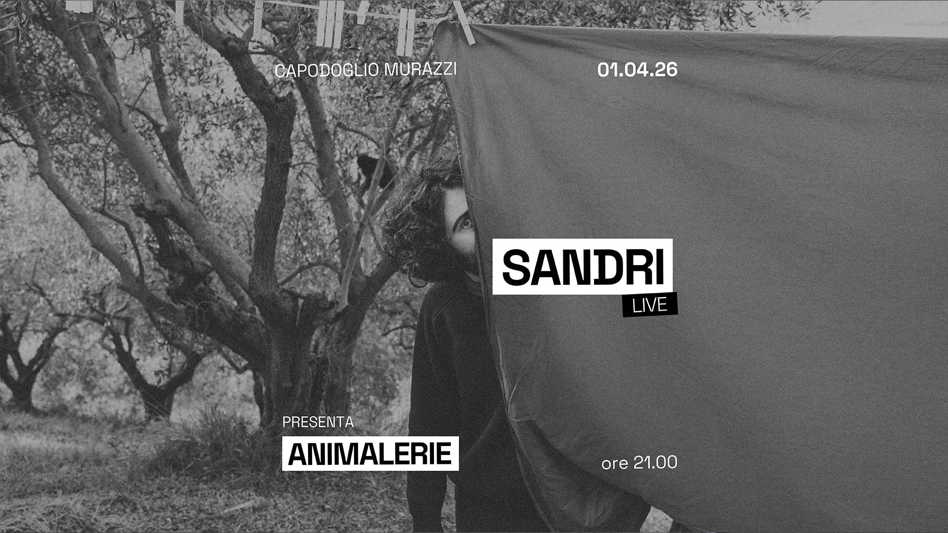 Copertina ufficiale dell'evento SANDRI ✷ ANIMALERIE TOUR ✷ Capodoglio