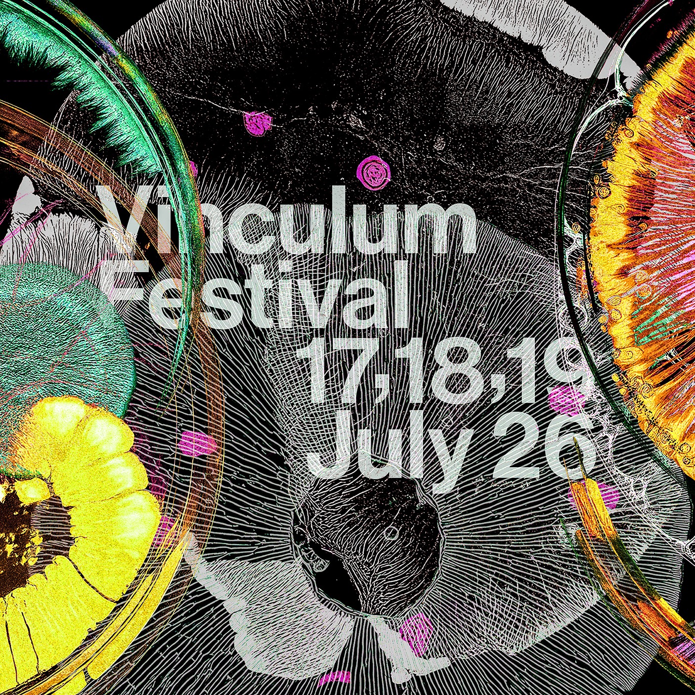 Vinculum Festival 2026