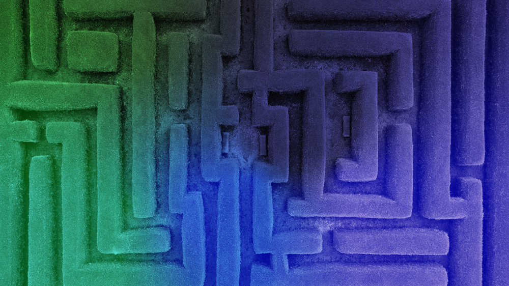 Cartel oficial del evento Labyrinth