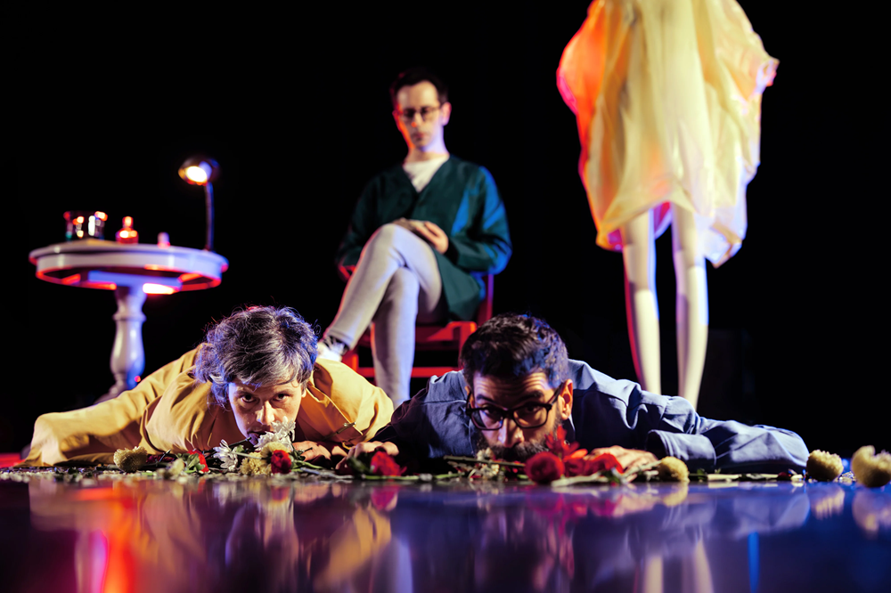 Couverture officielle de l'événement Birds Are Indie