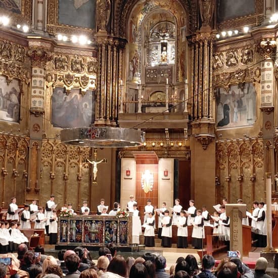 Cartaz oficial do evento Tour Privado Guiado a Montserrat Todo Incluido con recogida en Barcelona
