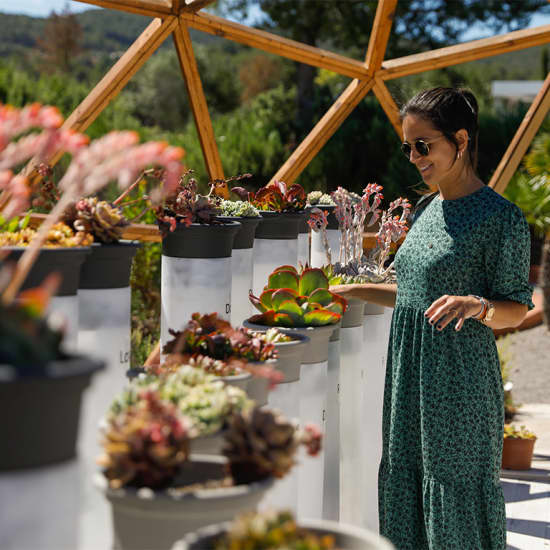 Cartaz oficial do evento BiBo Park (Ibiza Botánico Biotecnológico)