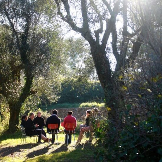 Official cover of the event El arte de parar: un sábado entero en la sierra