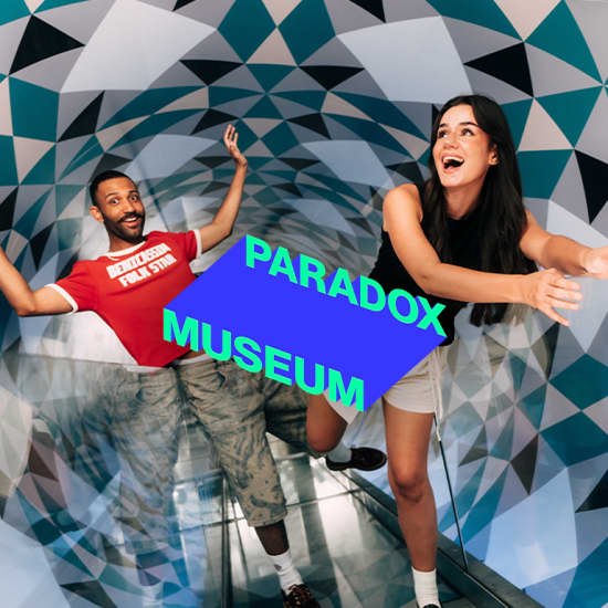 Cartaz oficial do evento Paradox Museum Paris