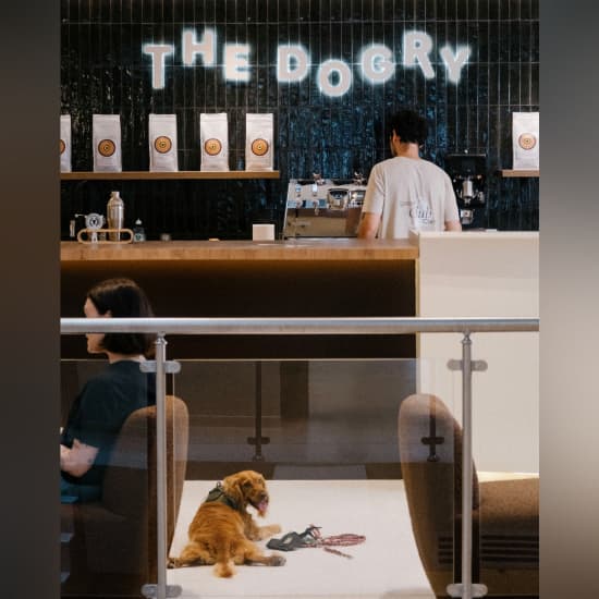 Official cover of the event The Dogry, lieu de vie de 400 m² dédié aux chiens - Paris