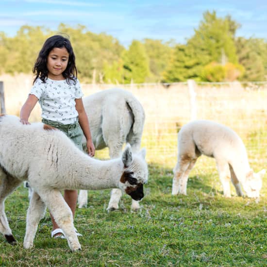 Cartaz oficial do evento Parrot World : billets pour les expériences immersives