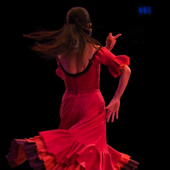 Official cover of the event Espectáculo de flamenco en El Palacio Andaluz