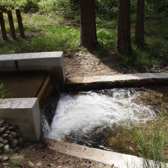 Segovia Decus Romae 2026: El Azud del Acueducto