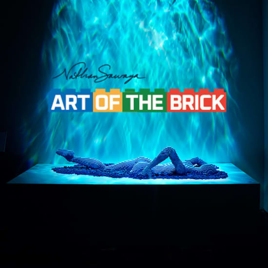 Cartaz oficial do evento The Art of the Brick : Exposition d'art en LEGO®