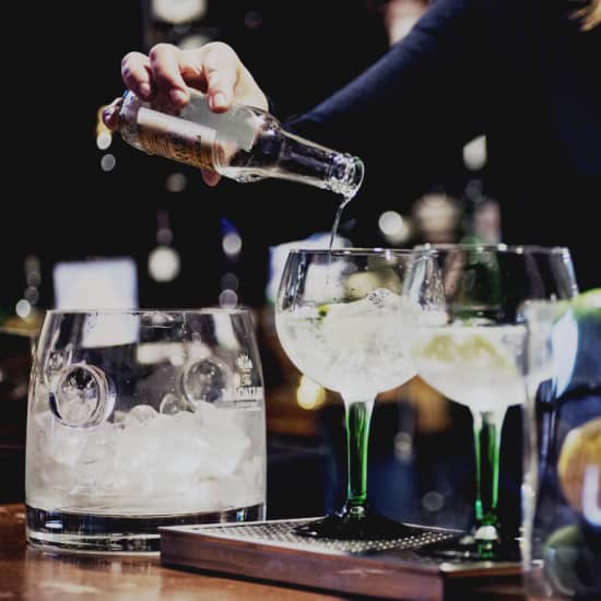 Official cover of the event Degustación de gin tonics en Vinopremier