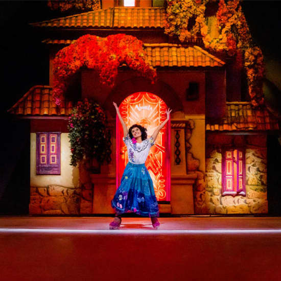 Cartel oficial del evento Disney on Ice: Festa em Família - Rio de Janeiro