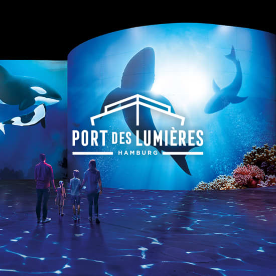 Cartaz oficial do evento Wunderwelt Ozean - Ein immersiver Tauchgang