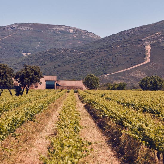 Visita - Descubriendo Pago de Vallegarcia