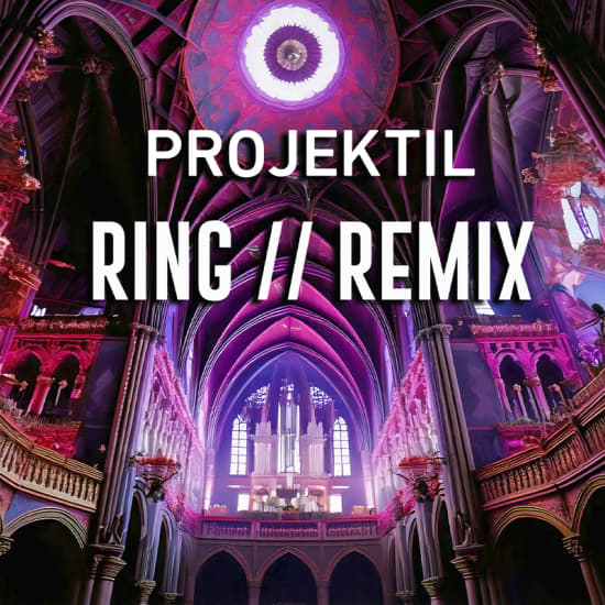 Official cover of the event PROJEKTIL presents: RING // REMIX - Wenn Liebe auf Macht trifft