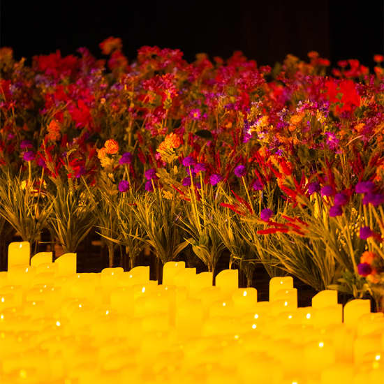 Candlelight: Lo mejor de Bridgerton