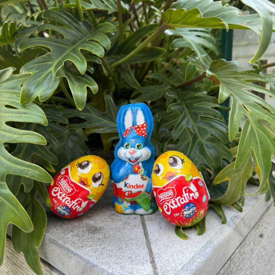 Officiële cover van het evenement Caça aos Ovos no Hyatt Regency Lisboa