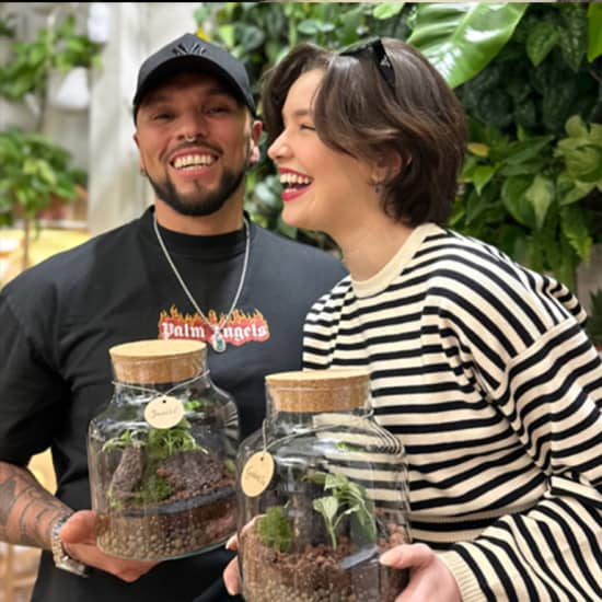 Official cover of the event Crea tu propio terrario eterno - Madrid