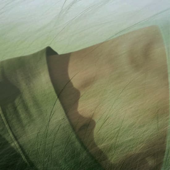 Official cover of the event Bloom - Women's Wellness Day