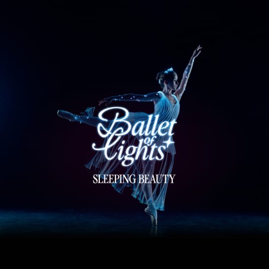 Official cover of the event Ballet of Lights: Doornroosje, de dans- en lichtshow