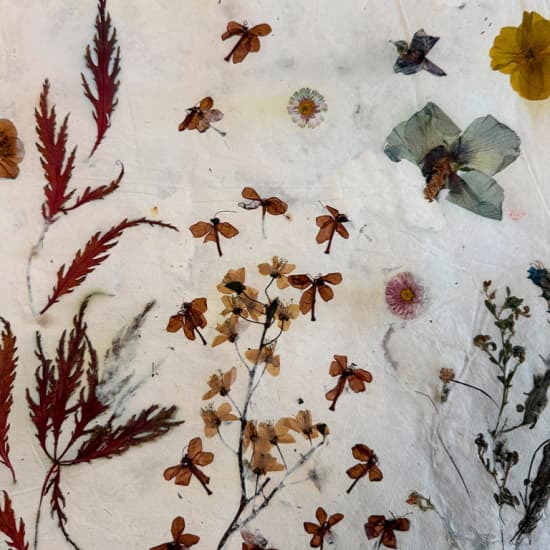 Official cover of the event Papermaking-Workshop Berlin: Papierschöpfen mit Blumen