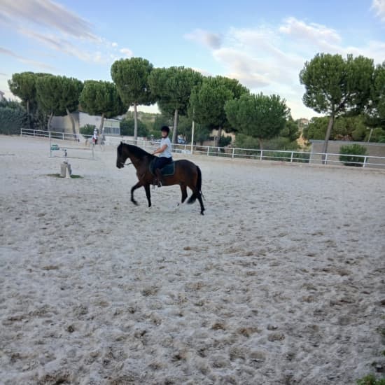 Cartel oficial del evento Rutas a caballo en la Escuela de Henry