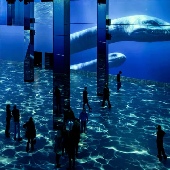 Official cover of the event Ein Planet vor unserer Zeit: Dinosaurier – Das immersive Erlebnis