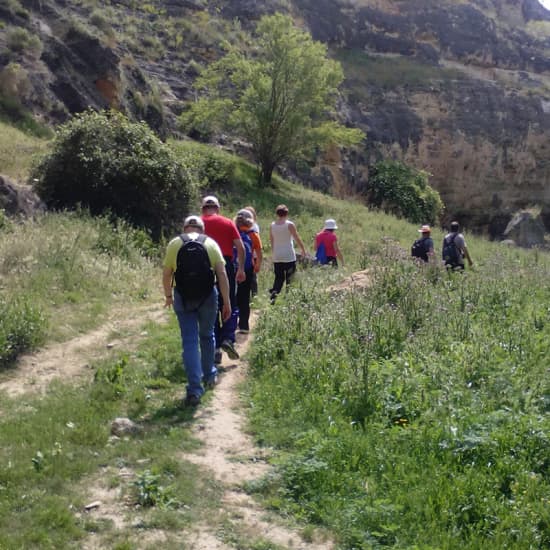 Copertina ufficiale dell'evento Domingos de Patrimonio: La Senda de los Elefantes