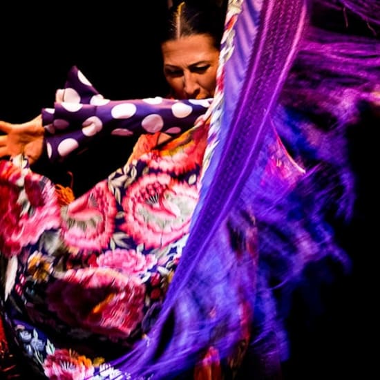 Official cover of the event Flamenco Dance Museum: Show only