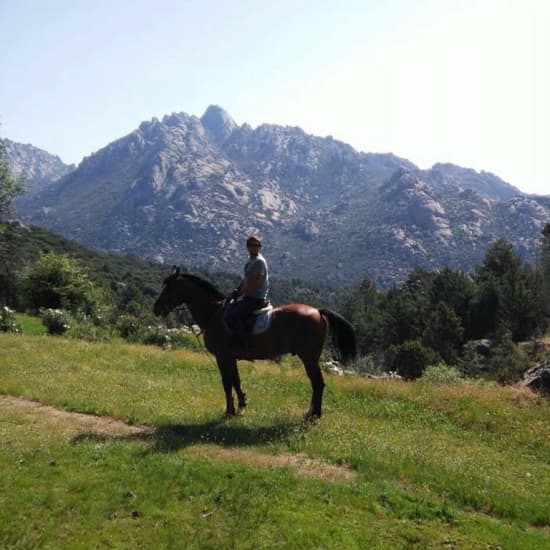 Cartaz oficial do evento Ruta a caballo en un entorno único