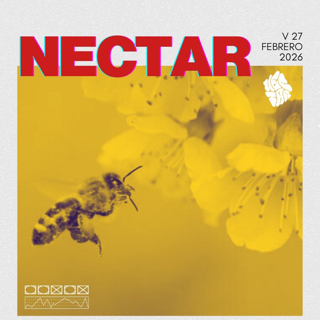 Cartaz oficial do evento Nectar w/ Alffie + Faxon + Hons + Jorge Padilla
